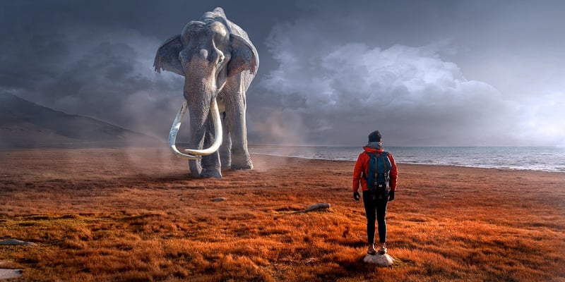 Extraterrestrial Encounters